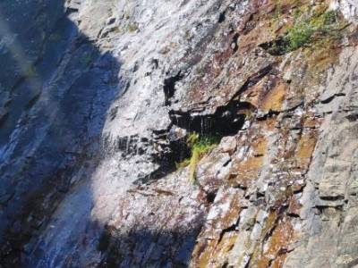 El Ocejón-Reserva Nacional Sonsaz;ruta romanico palencia excursiones por almeria viajes castilla pu